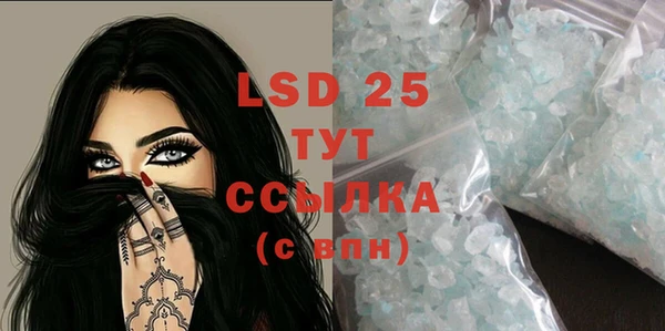 индика Алзамай