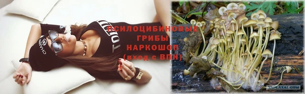 индика Алзамай