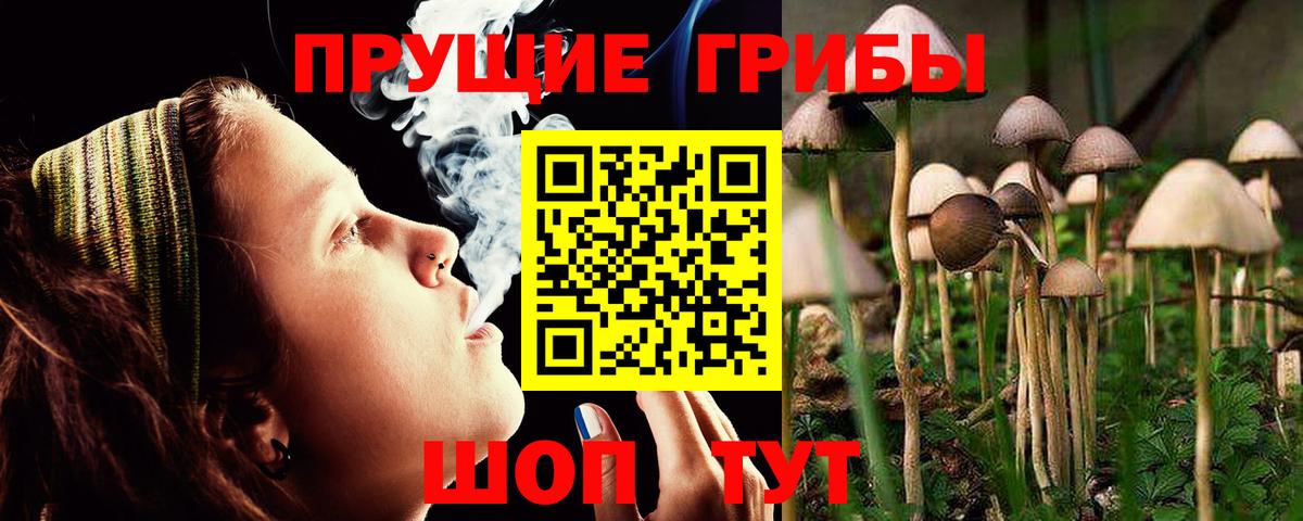Псилоцибиновые грибы прущие грибы  Вход с VPN  Красноармейск 